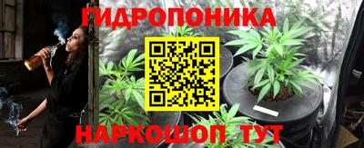 молекула духа Ликино-Дулёво
